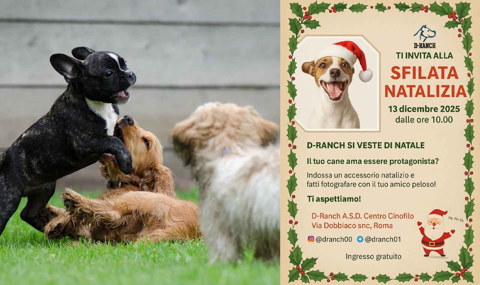 Roma, sfilata natalizia cani D-Ranch