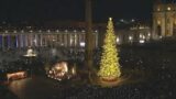Roma, San Pietro si accende: il mega albero di Natale e il presepe “italiano” che parlano a tutto il mondo
