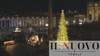 Roma, San Pietro si accende: il mega albero di Natale e il presepe “italiano” che parlano a tutto il mondo