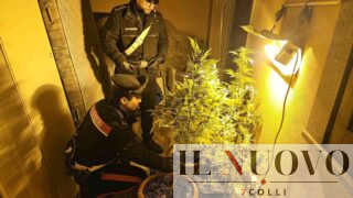 Coltivava marijuana in casa con la famiglia: l’odore tradisce una serra domestica a Sacrofano