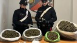 Cerveteri, maxi sequestro di droga: 9 chili di marijuana e cocaina nascosti in casa e nei fossi, due arresti