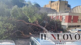 Roma, pino gigante crolla e schiaccia 9 auto in via Monte Ruggero (FOTO): la Capitale affonda con il maltempo