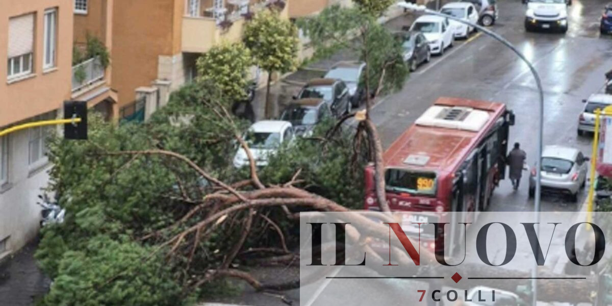Roma, pino cade su bus Atac, foto gruppo Facebook Terremoti e Meteo in tempo reale