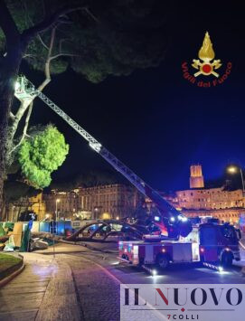 albero caduto via dei Fori Imperiali