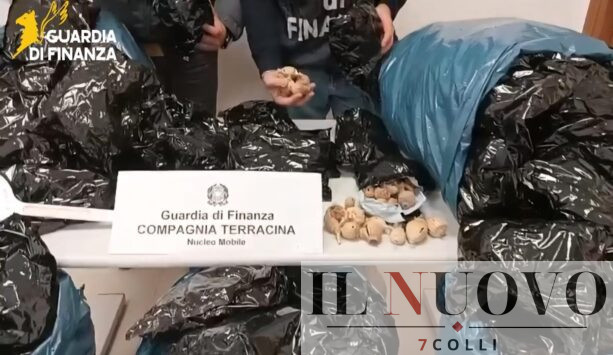 sequestro bulbi da oppio