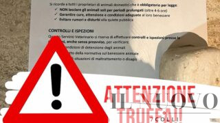 Roma, “ispezioni senza preavviso” della Asl per il benessere degli animali: ma è una truffa per svaligiare gli appartamenti