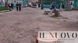 Fori Imperiali, allarme abbattimenti: CURAA chiede trasparenza sui pini tagliati