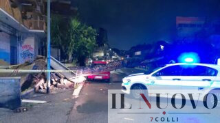 Roma, cade un albero in via Monte delle Capre: colpite 2 auto e danneggiata recinzione della scuola, strada chiusa