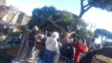 Roma, cade un altro albero in via dei fori imperiali:  3 feriti (FOTO)