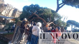 Roma, cade un altro albero in via dei fori imperiali:  3 feriti (FOTO)