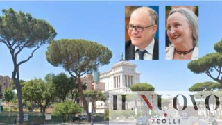 Roma, storici pini dei Fori Imperiali: “Li salviamo”, “Li tagliamo”… ma dov’è la trasparenza promessa dal Campidoglio?