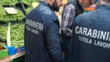 Roma, chiusa la frutteria di via Tiburtina dopo il maxi-blitz: controlli a tappeto anche su droga e spaccio