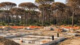 Castel Fusano, non solo pineta: Roma muta sul via-libera edile, il Campidoglio rischia il Commissariamento (e di pagare 4 milioni)