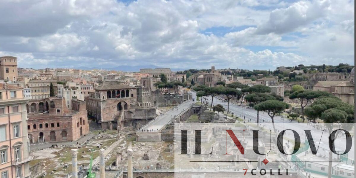 Roma, i pini dei Fori nel 2024