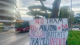 Roma, 155 pini vista San Pietro rischiano l’abbattimento: cittadini chiedono lo “Stop al Campidoglio”