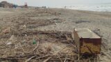 Spiagge invase da “piramidi di rifiuti” sul litorale romano: da Castelporziano ad Ardea è allarme