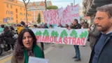 Alberi di Roma, la marcia dei cittadini: “Depositato un nuovo  esposto, con raccolta firme, contro bugie e sabotaggi”