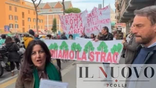 Alberi di Roma, la marcia dei cittadini: “Depositato un nuovo  esposto, con raccolta firme, contro bugie e sabotaggi”