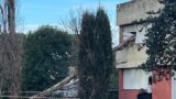 Roma, albero crolla sul liceo Orazio e sfonda una finestra: tragedia sfiorata nella sede di via Spegazzini