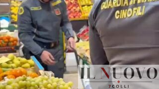 Roma, controlli tra Cornelia, Boccea e Baldo degli Ubaldi: cibo scaduto nei negozi e niente scontrini, sequestrati 70 chili di alimenti
