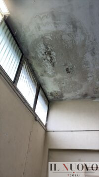 Crollo albero liceo Orazio