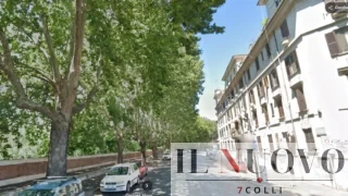 Roma, test urgenti sugli alberi del Lungotevere, ma resta il nodo Trasparenza, i cittadini: “Documenti ancora introvabili”