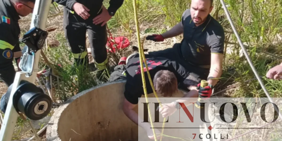 Vigili del Fuoco in azione a Roma nel parco