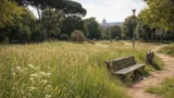 Parchi come giungle urbane? Roma ri-prova a affidare 16 aree verdi ai privati in cambio di manutenzione