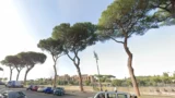 Roma, via alle prove di stabilità-lampo per gli alberi dell’Aventino: ma la Trasparenza del Campidoglio resta off-line