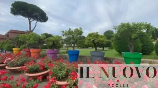 Roma apre il Semenzaio di San Sisto: il 29 marzo ingresso gratis, orari e visite da non perdere