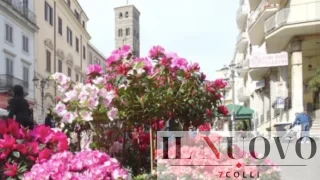 Feste e sagre vicino Roma, il weekend del 14 e 15 marzo 2026: camelie, falia e crespelle nei borghi del Lazio