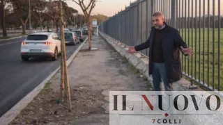 Roma, nuovi alberi sì, ma stop ai marciapiedi ‘bombardati’: il consigliere Giannini accusa il “metodo Alfonsi”