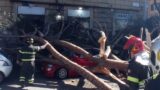 Roma, crolla albero in via Tiburtina: colpite 5 auto, 2 feriti (FOTO)
