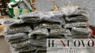 Civitavecchia, droga nascosta tra zucchine e melanzane: sequestrati oltre 100 chili tra cocaina e marijuana