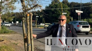 Castel Fusano, alberi già secchi dopo la piantumazione: “Qualcuno si dovrebbe dimettere”