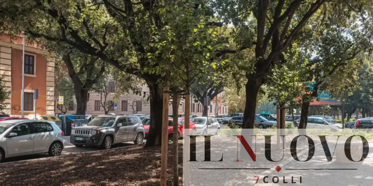 Roma, viale Mazzini, alberi giovani appena piantati sotto i grandi pre-esistenti - www.7colli.it