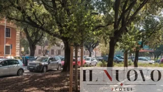Roma, viale Mazzini appena rifatta e già ‘smontata’ per la metro C: il caso degli alberi piccoli piantati sotto i grandi