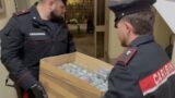 Roma, scoperto deposito di droga da 2,5 milioni di euro: arrestati padre, figlio e un imprenditore (VIDEO)
