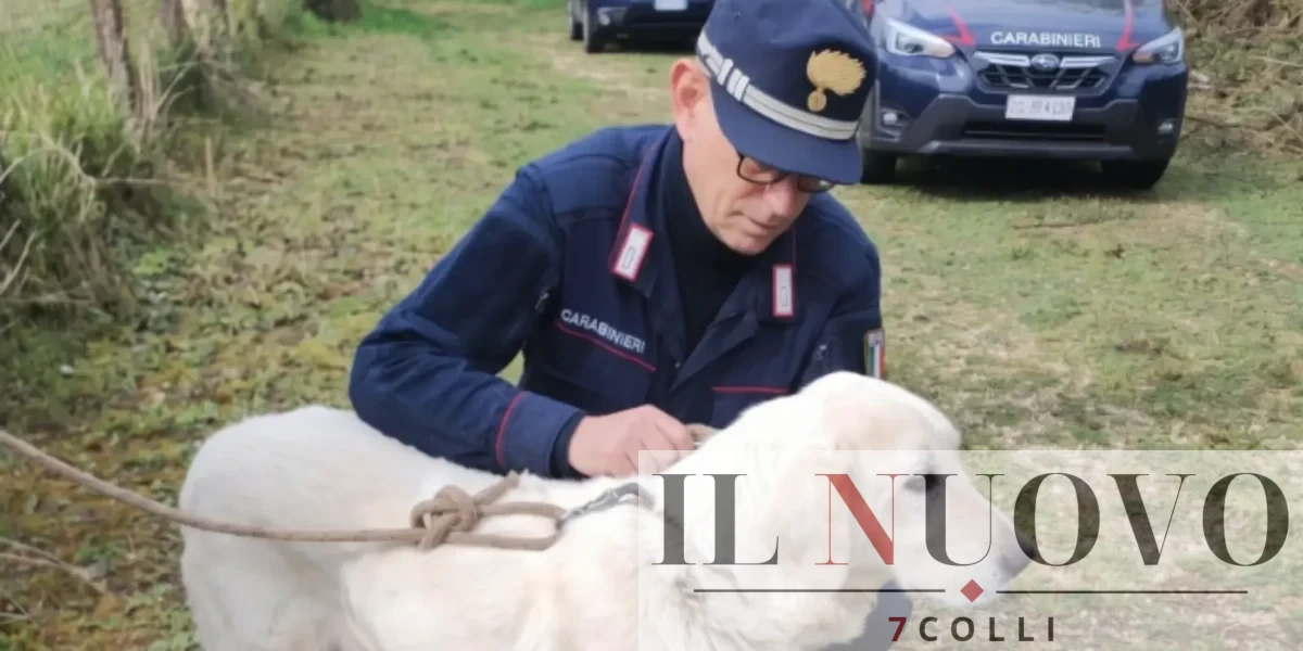 Carabinieri in azione a Palestrina
