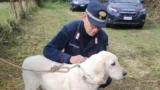 Cane ucciso a bastonate a Palestrina, denunciato un uomo: cosa è successo in via Loreto