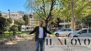 Roma, alberi espiantati da piazza Mazzini e trasferiti in viale degli Ammiragli: la nuova video denuncia di Giannini