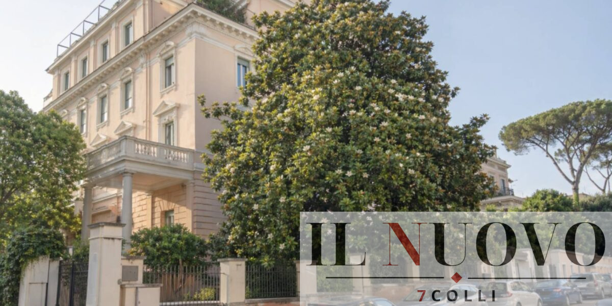 Roma, la magnolia salvata dal Tribunale, foto Google Maps