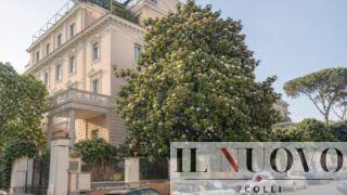 Alberi a Roma, il Tribunale salva dalle motoseghe la grande magnolia magniflora: sconfitta (doppia) per il Campidoglio