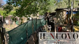 Ostia, degrado senza fine alla pineta delle Acque Rosse: spunta una nuova baraccopoli tra rifiuti pericolosi ed eternit (FOTO)