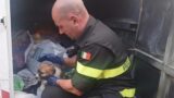 Civitavecchia, gettano un cucciolo nel cassonetto degli abiti usati: salvato grazie all’udito di una donna