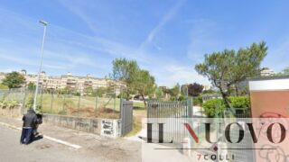 Roma, “Non possono entrare, sono troppo grossi”, minacciata e aggredita con lo spray al peperoncino nell’area cani