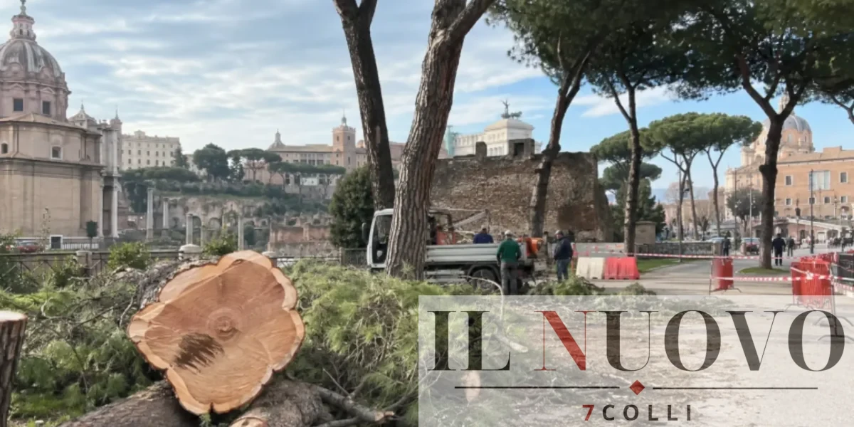 Alberi, foto generata con IA