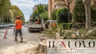 Roma, altri alberi pubblici abbattuti in urgenza e senza programmazione: cittadini informati a intervento eseguito