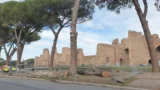 Roma, tagli ai pini anche alle Terme di Caracalla: motoseghe in 8 parchi-simbolo, cittadini ignorati