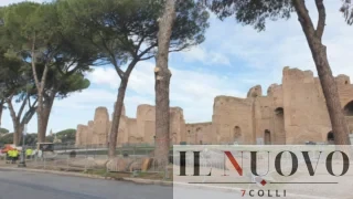 Roma, tagli ai pini anche alle Terme di Caracalla: motoseghe in 8 parchi-simbolo, cittadini ignorati
